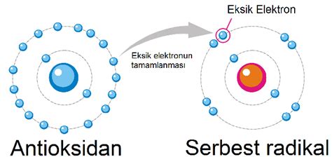 Bunun sonucunda "serbest radikaller" denen maddeler korneada oksidatif hasara yol açar.