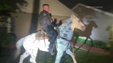 Burbank police rescue runaway horse
