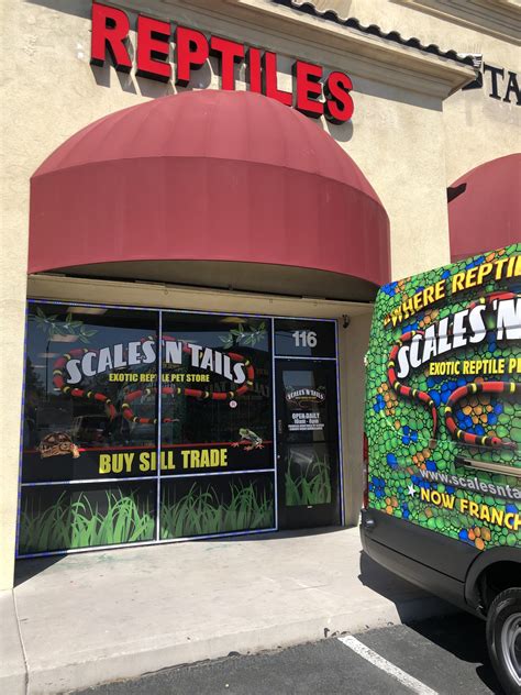 About Burbank Scales N Tails: Established in 1998, Burbank Scales N Tails is located at 1720 W Verdugo Ave in Burbank, CA - Los Angeles County and is a business specialized in Amphibians & Reptiles, Fish & Invertebrates, Salt Water Fish, Fresh Water Fish and Marine Fish.. 