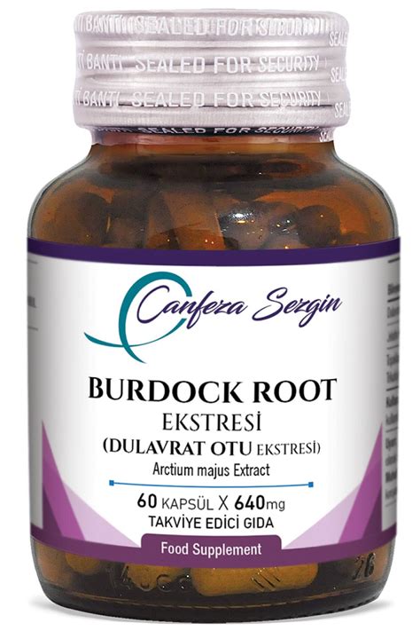 Burdock root hapı faydaları