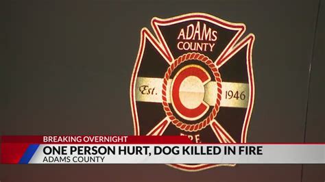 Burglar allegedly starts fire that killed dog in Adams County home