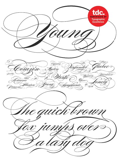 Burgues Script Font - What Font Is