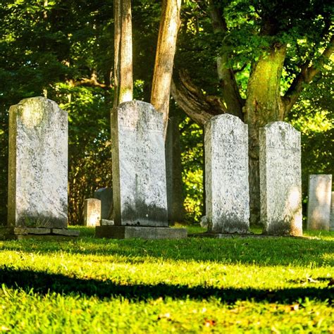 Burial plots for sale. Things To Know About Burial plots for sale. 
