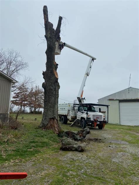 Burks Tree Service - Hanceville, AL 35077 - (256)352-4051