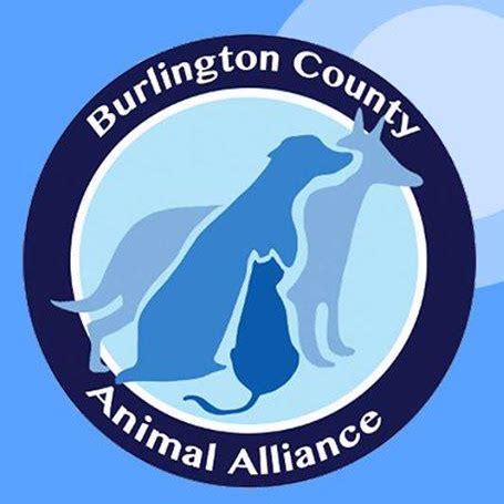 Burlington county animal alliance. Things To Know About Burlington county animal alliance. 