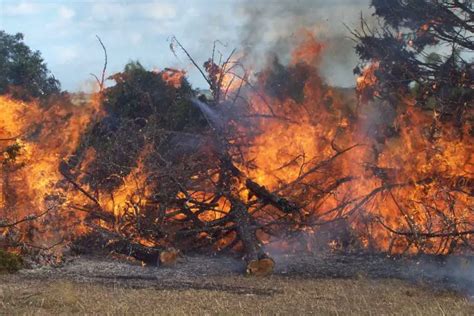 Burning Brush & Burn Pits - Hilliard Management