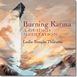 Burning karma a guided meditation cd. - Hipaa manual 2015 long term care.