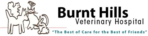 Burnt hills vet. Dr. Brooke Pietrafesta in Burnt Hills, NY. Burnt Hills Veterinary Hospital is your local Veterinarian in Burnt Hills serving all of your needs. Call us today at 518-399-5213 for an appointment. 