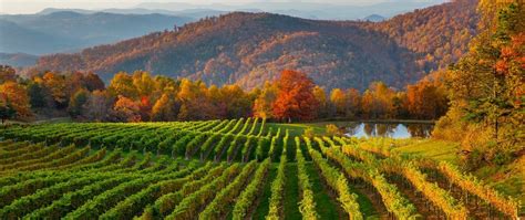These are the best places for couples seeking wineries & vineyards in Hendersonville: Saint Paul Mountain Vineyards. Burntshirt Vineyards. Point Lookout Vineyards. Stone Ashe Vineyard. Sawyer Springs Vineyard. See more wineries & vineyards for couples in Hendersonville on Tripadvisor.. 