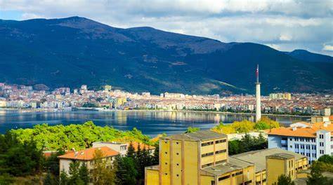 Bursa Gemlik En Yakin terapi halı yıkama
