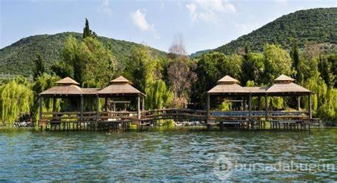 Bursa Iznik En Yakin terapi halı yıkama