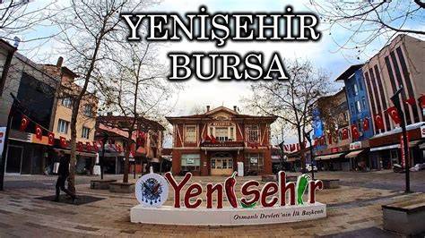 Bursa Yenisehir terapi halı yıkama
