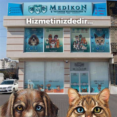 Bursa en iyi veteriner kliniği