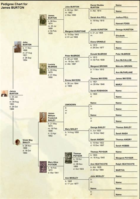 Burton, Killed Family History - Ancestry