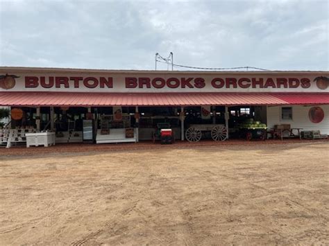 Burton brooks orchard. Burton Brooks Orchard Corporation is located at 16180 Adel Hwy in Barney, Georgia 31625. Burton Brooks Orchard Corporation can be contacted via phone at (229) 775-2828 for pricing, hours and directions. 