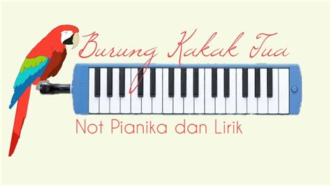 Burung kakak tua pakai pianika. .  ...