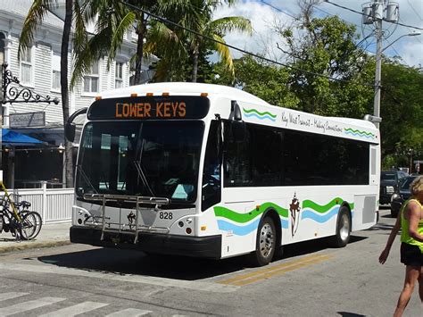 Bus Key West - Tampa from $43 Lolomove