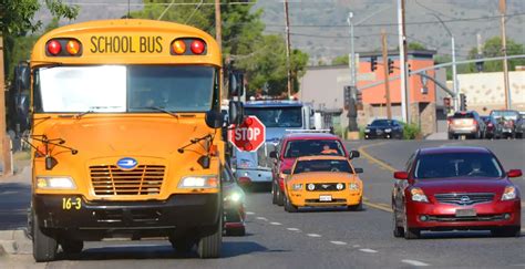 Bus vs Automobile - What