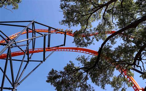 Busch Gardens Opens the Tallest — and Scariest — Launch Coaster in Florida