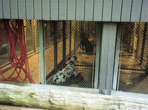 Busch gardens pet kennel. Things To Know About Busch gardens pet kennel. 