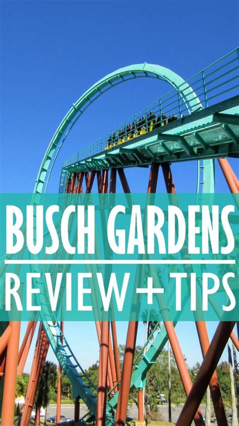 Busch gardens tampa bay reviews. Spring Break Sale: Save up to 30% Enjoy two parks for about $69.99/park at any combination of our theme parks: SeaWorld Orlando, Aquatica Orlando, Busch Gardens Tampa Bay and Adventure Island. Two Day, Two Park Ticket + All-Day Dining Add All-Day Dining and eat all day during each park visit for as little as $36.50/day . 