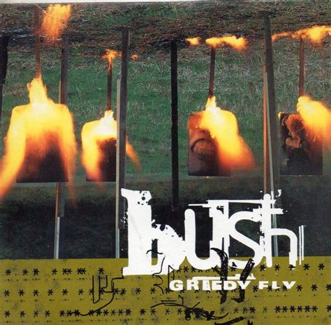 Bush: Greedy Fly (Music Video 1997) - Plot Summary - IMDb