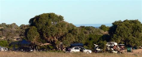 Bush Camping - Hillocks Drive (Butlers Beach)