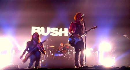 Bush band biography examples list