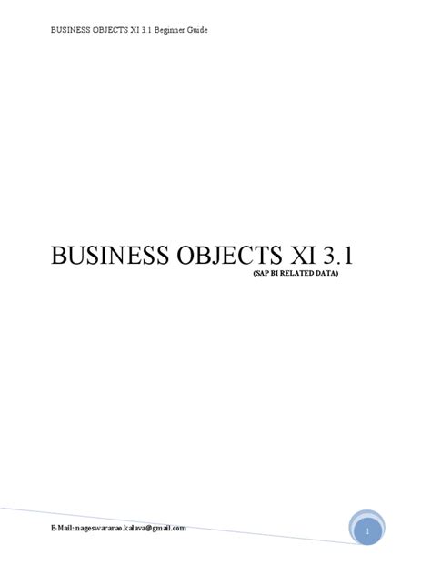 Business Guide User Objects Xi