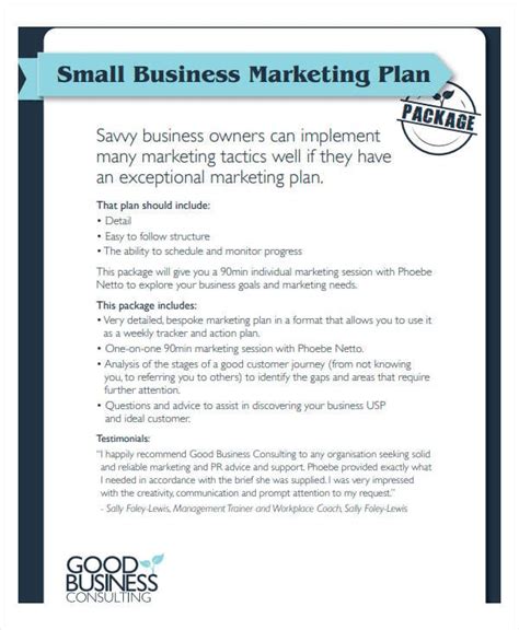 Business Marketing Plan Template 2