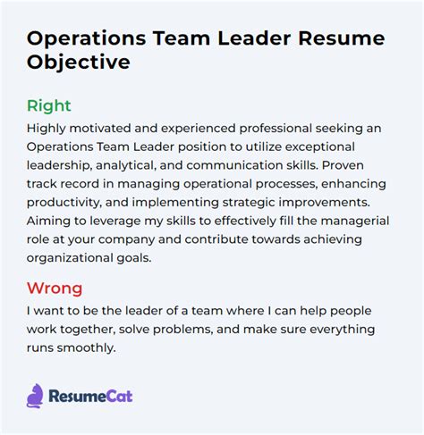 Business Operations Team Lead