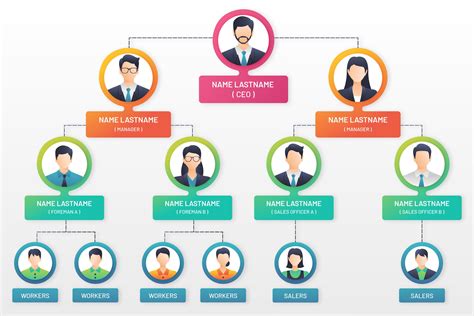 Business Org Chart Examples
