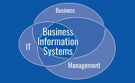 Overview. Information Systems comprises the analysis and org