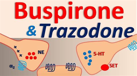 Buspar and trazodone. It should not be used during pregnancy or while... more. Buspirone has an average rating of 5.9 out of 10 from a total of 1334 ratings on Drugs.com. 48% of reviewers reported a positive effect, while 36% reported a negative effect. Hydroxyzine has an average rating of 5.7 out of 10 from a total of 1375 ratings on Drugs.com. 46% of reviewers ... 