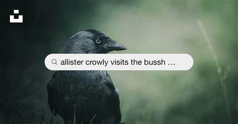 Bussh&aring;llplats &ndash; Wikipedia