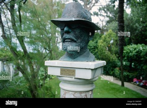 Bust for capri Bust for capri CamClips tv 