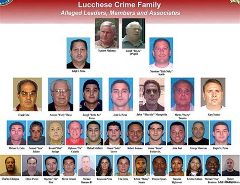 Bust mob. On Tuesday, 11 reputed members and associates of the Colombo crime family, including the mob clan’s entire leadership, were charged in a labor racketeering case brought by the U.S. attorney’s ... 