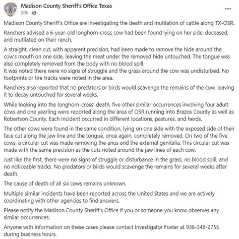 Busted madison county tx.  Information on this report is provided for informationa...