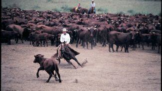 Buster Welch Ranches Dispersal