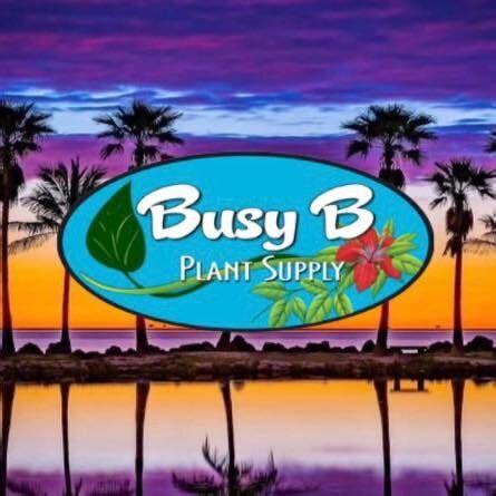 Busy b plant supply. Things To Know About Busy b plant supply. 