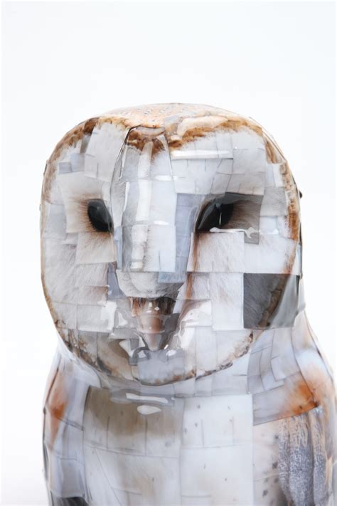 But to Gwon Osang they