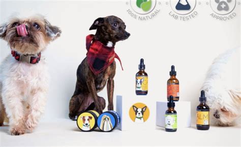But with so many new hemp-based products available, which ones should you be administering to your pup? When it comes to hemp vs CBD oil for dogs , pet owners need to understand the differences in each of the ingredients