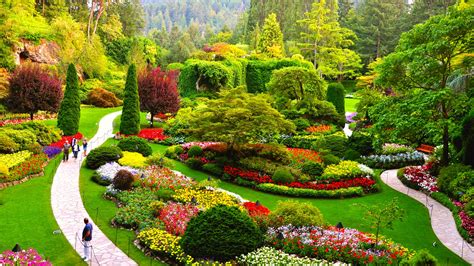 Butchart garden. Things To Know About Butchart garden. 