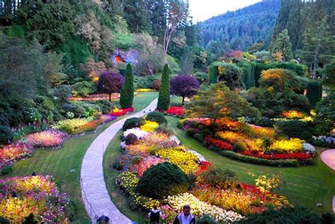 Butchart gardens. Garden Map - The Butchart Gardens. Garden Map. Take a stroll around The Gardens before you arrive. Move your cursor around our interactive map to explore the property and plan your day. Download Full Map. 