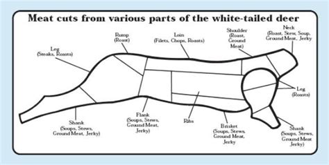 Butchering Elk Diagram - schematron.org