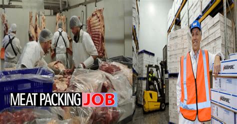 Butchery Manager jobs in New Zealand - 80 vacancies Jora