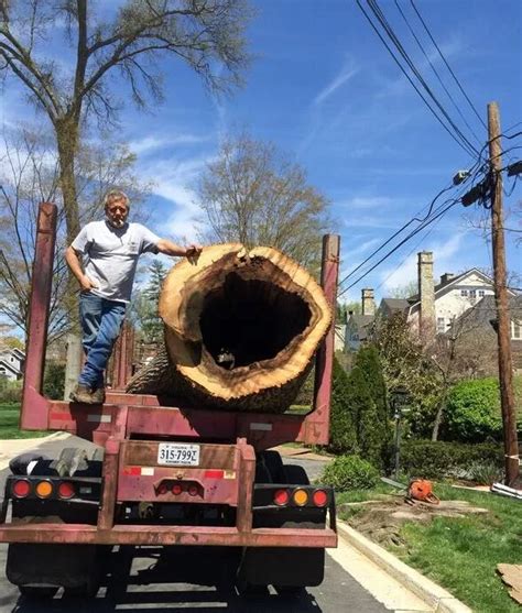 Butler Tree Service Inc, Madison, TN - 109 Woodruff St.