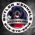 Butler Kennels Rottweiler's "Of Course&q