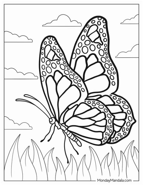 Butterflies Coloring Shee