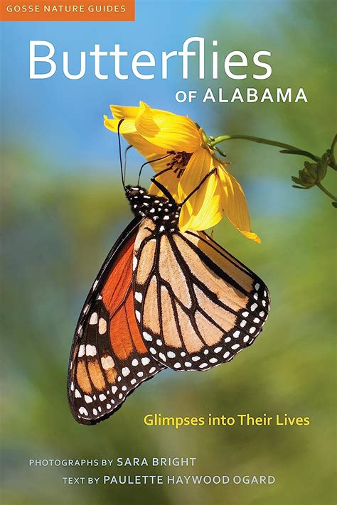 Butterflies of alabama glimpses into their lives gosse nature guides. - Nissan sentra b16 nissan se 2007 2012 workshop manual.